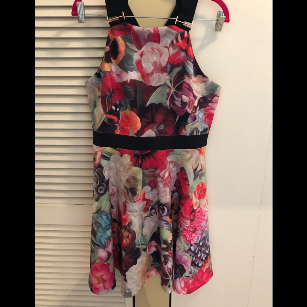 Ted Baker Skater Dress Size 4 Large